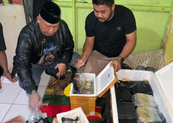 Polres Barru Amankan Peredaran 30 Kg SS