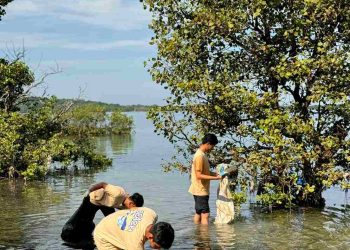 Peringati Hari Lingkungan Hidup Sedunia, PT PLN Indonesia Power (UBP) Barru Menggelar Kegiatan Beach Clean Up