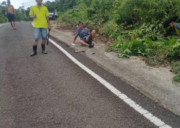 Bersihkan Bahu Jalan, Kadus Rumpia Suhardi Bersama Masyarakat Pupuk Semangat Gotong Royong