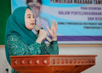 Pelatihan PMT Solusi Penanganan Stunting di Barru