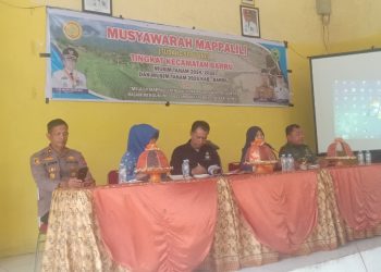 Musyawarah Mappalili Kecamatan Barru 2024: Tradisi Kearifan Lokal yang Tetap Hidup
