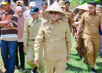 Suardi Saleh Hadiri Mappalili/Turun Sawah Musim Tanam 2024/2025 di Kec.Balusu