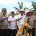 Plh Sekda Barru: Panen Raya Jagung Hibrida Wujud Komitmen Ketahanan Pangan