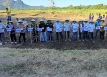 Kementan dan Pemkab Barru Sinergi Genjot Luas Tambah Tanam Padi di Musim Tanam III