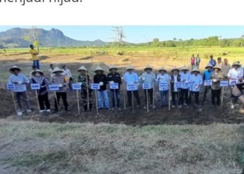 Kementan dan Pemkab Barru Sinergi Genjot Luas Tambah Tanam Padi di Musim Tanam III