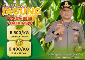 Dukung Swasembada Pangan, Polres Barru dan Bulog Targetkan Serapan 7.000 Ton Jagung