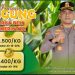Dukung Swasembada Pangan, Polres Barru dan Bulog Targetkan Serapan 7.000 Ton Jagung
