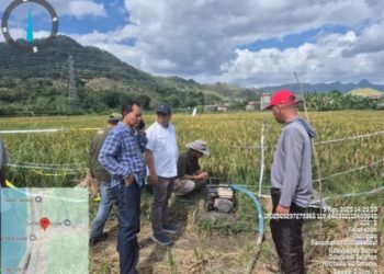 Kadis Pertanian Barru & Kepala Pusdik Kementan Tinjau Kesiapan Infrastruktur MT III