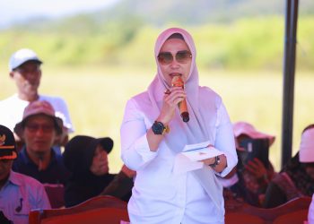 Kunjungan Strategis di Lipukasi, Bupati Barru dan YSPN Sinergi Kembangkan Pertanian