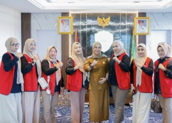 Bupati Barru Terima Audiensi DPC Perempuan Indonesia Maju Kota Makassar