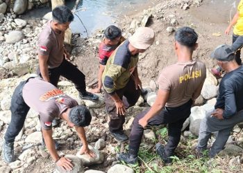Satbrimob Polda Sulsel Bangun Jembatan Darurat di Desa Nepo Kab. Barru, Wujud Kepedulian untuk Akses Masyarakat