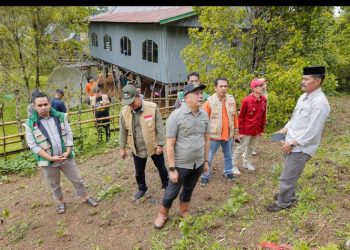 Wabup Barru Tinjau Lahan Kopi di Pujananting, Dorong Hilirisasi dan Penguatan Branding Kopi Daerah