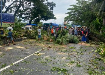 Respon Cepat Polisi Tangani Pohon Tumbang, Warga dan Pengendara Apresiasi Kinerja Polres Barru