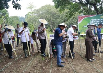 Polda Sulsel Tanam Jagung 812 Hektare di Seluruh Kabupaten/Kota, Targetkan Swasembada 2026