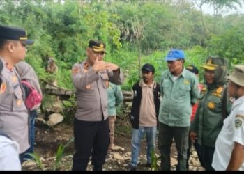 Polres Barru dan KPH Ajatappareng Siapkan Program FAPE-PS, Optimalkan 41 Hektar Lahan Jagung di Tanete Riaja