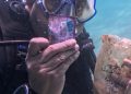 Kapolres Barru Tunjukkan Kepedulian Lingkungan, Bersihkan Sampah Plastik Saat Penyelaman di Perairan Pulau Dutungan