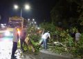 Polsek Tanete Rilau Gerak Cepat Evakuasi Pohon Tumbang di Jalur Poros Pare–Makassar