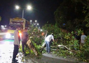 Polsek Tanete Rilau Gerak Cepat Evakuasi Pohon Tumbang di Jalur Poros Pare–Makassar