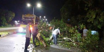 Polsek Tanete Rilau Gerak Cepat Evakuasi Pohon Tumbang di Jalur Poros Pare–Makassar
