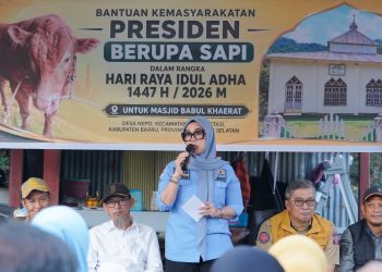 Bupati Barru Serahkan Sapi Kurban Presiden Prabowo untuk Warga Desa Nepo