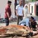 Polres Barru Sembelih 5 Sapi dan 2 Kambing, Ratusan Kupon Daging Kurban Dibagikan ke Warga