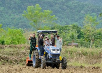 Bupati dan Wabup Barru Tanam Perdana Bibit Jagung Unggul JJ UH 01 di Desa Galung