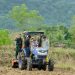 Bupati dan Wabup Barru Tanam Perdana Bibit Jagung Unggul JJ UH 01 di Desa Galung
