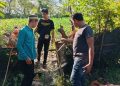 Satreskrim Polres Barru Gerak Cepat Selidiki Dugaan Pencurian Empat Ekor Kambing di Soppeng Riaja