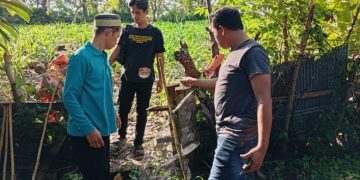 Satreskrim Polres Barru Gerak Cepat Selidiki Dugaan Pencurian Empat Ekor Kambing di Soppeng Riaja