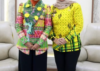 Bupati Barru Sambut Hangat Penasehat DWP Kementerian ESDM dengan Wastra Khas Barru