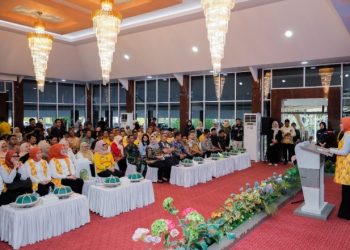 Sri Suparni Bahlil Serahkan Bantuan Listrik dan PJUTS untuk Warga Barru, Bupati Andi Ina Ajukan Perluasan Jaringan