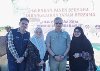 Wabup Abustan Pimpin Gerakan Panen dan Tanam Bersama, Dorong Barru Perkuat Swasembada Pangan