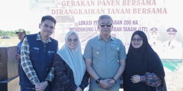 Wabup Abustan Pimpin Gerakan Panen dan Tanam Bersama, Dorong Barru Perkuat Swasembada Pangan