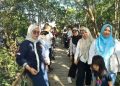 Jaga Kelestarian Pesisir, Wabup Pangkep Tanam 5.000 Bibit Mangrove di Bulu Cindea