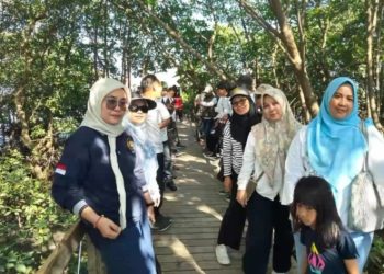 Jaga Kelestarian Pesisir, Wabup Pangkep Tanam 5.000 Bibit Mangrove di Bulu Cindea