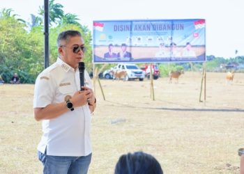 Wabup Barru Sambut Investor Global, Kawasan Industri Siawung Dilirik untuk Hilirisasi Bawang Putih