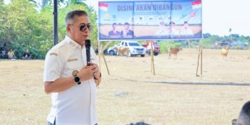 Wabup Barru Sambut Investor Global, Kawasan Industri Siawung Dilirik untuk Hilirisasi Bawang Putih