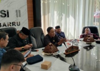 RDP Komisi II DPRD Barru Soroti Perizinan Pembangunan Docking Kapal di Siddo