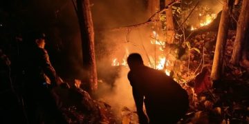 Medan Ekstrem, Tim Gabungan Berjibaku Padamkan Karhutla di Gunung Latinjo