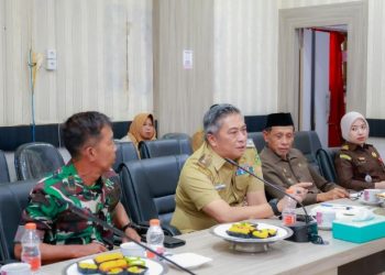 Gubernur Sulsel Pimpin Monev Pengawasan BBM Subsidi, Wabup Barru Ikuti Secara Daring