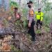Polsek Barru Bersama TNI dan Warga Padamkan Kebakaran Lahan Perkebunan Seluas 20 Hektare di Tompo