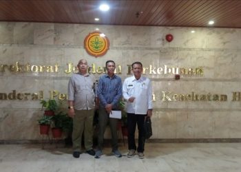 Komisi II Dorong Hilirisasi Kopi Barru melalui Agroforestri, Kementan Sambut Usulan Bibit Unggul