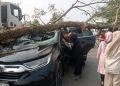 RESPON CEPAT POLSEK SOPPENG RIAJA, BHABINKAMTIBMAS BERSAMA WARGA BANTU KORBAN POHON TUMBANG TIMPA MOBIL DI BARRU