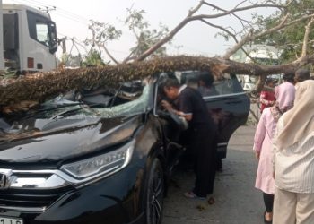 RESPON CEPAT POLSEK SOPPENG RIAJA, BHABINKAMTIBMAS BERSAMA WARGA BANTU KORBAN POHON TUMBANG TIMPA MOBIL DI BARRU