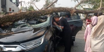 RESPON CEPAT POLSEK SOPPENG RIAJA, BHABINKAMTIBMAS BERSAMA WARGA BANTU KORBAN POHON TUMBANG TIMPA MOBIL DI BARRU