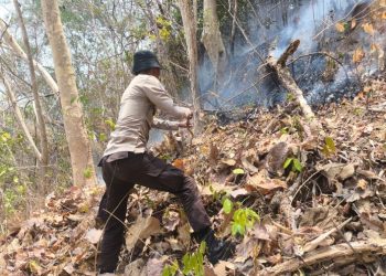 Bhabinkamtibmas dan Warga Padamkan Kebakaran Lahan Perkebunan di Lempang